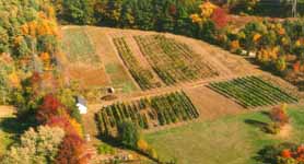 Jewell Towne Vineyards New Hampshire